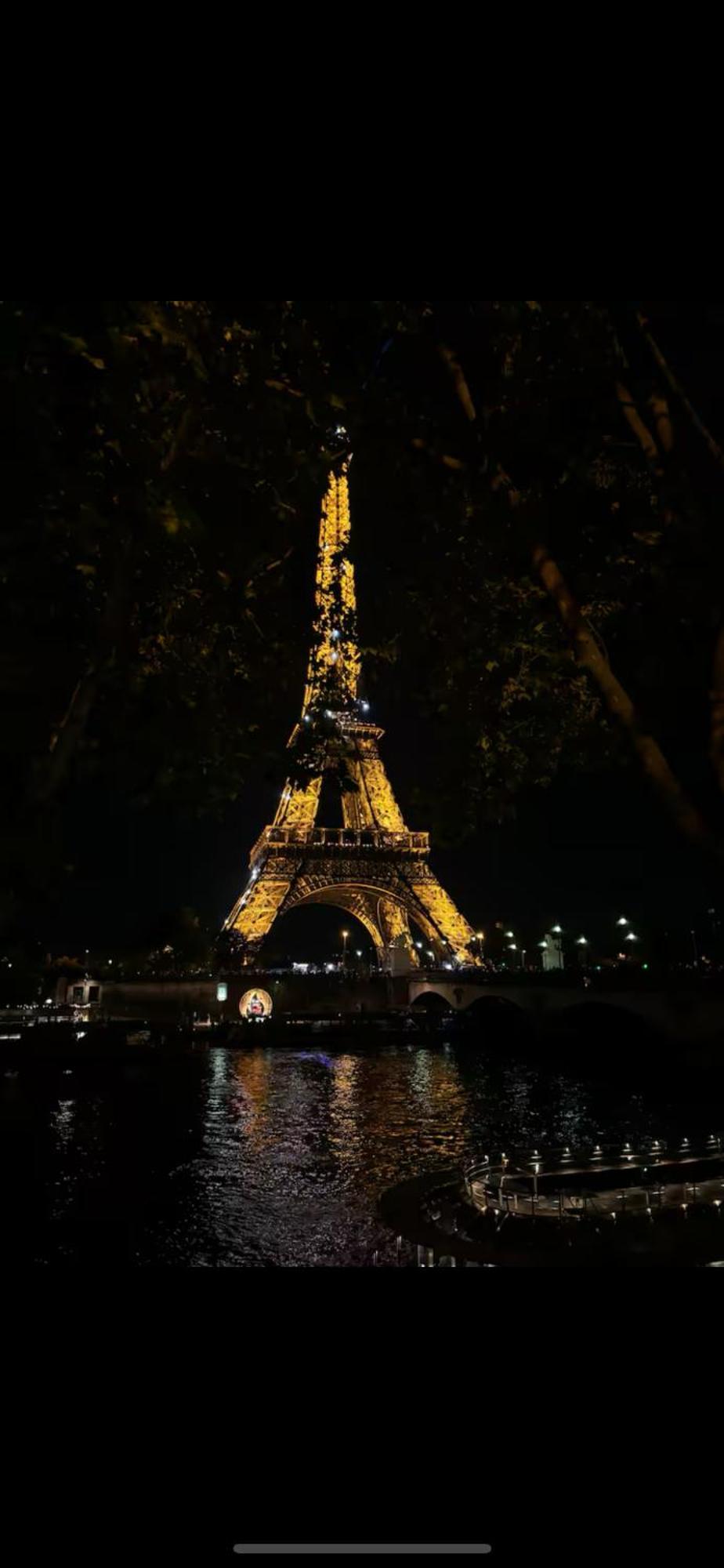 Eiffel Tower View Haussmanian Charm 2min Walk From The Eiffel Tower Gardens Apartment